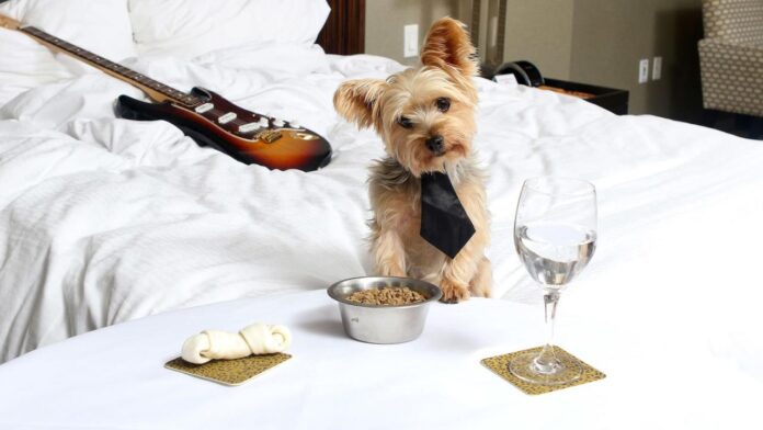 Seminole Hard Rock Hotel and Casino, Hollywood | The Family Hotel Guide