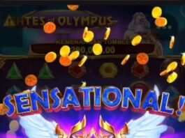 Pin by Sein Ma Ma on Quick Saves | Free casino slot games, Casino games ...