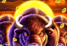 Buffalo Free Slots