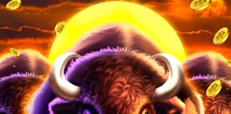 Buffalo Free Slots