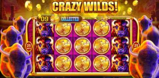 Was Sie zur Anmeldung im Spingranny Casino benötigen: Leitfaden zu den ...
