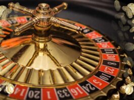 Best Payout Casinos: The Highest Paying Online Casino in NZ