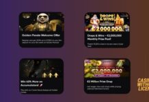 Golden Panda Casino Review | €7500 Bonus | 10% Cashback