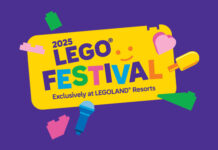 LEGO® Festival의 메인 스테이지에 놀이가 올라갑니다 | LEGO® Shop KR