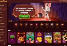 Beste Online Casino Nederland 2025 - De Top 10 Online Casino’s