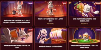 Beste casino zonder CRUKS 2025: Veilig gokken zonder CRUKS