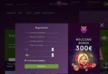 Moje reálná zkušenost s printovými styly kasina Malina v Česku Malina Casino Review | Live Tables & Slots | 100% up to €500 + 200 Spins