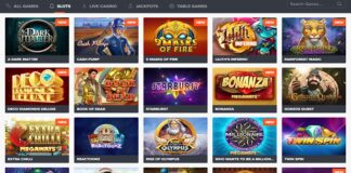 Ninja Casino Online Casino Review