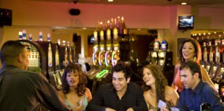 Calling all High Rollers! - Casino Trip - Paradise Transit