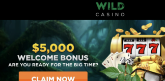 $5,000 Welcome Bonus at Wild Casino | No Deposit Bonus