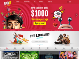 SpinIT Casino Review & Bonuses - Online Blackjack Explorer