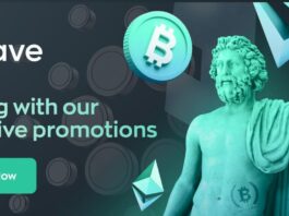 Bitcoin Casino Test 2024 | Die 26 besten Bitcoin Casinos