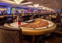 Login In Buy To Level Upward Casino In Australia – SIPS