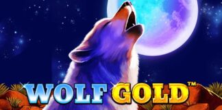 Winshark Casino 2025 | Bónusz 240% akár 990.000Ft + 300 IP