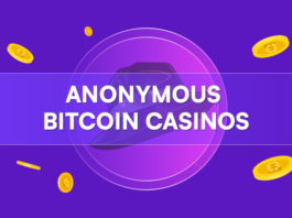Best 30 Anonymous Bitcoin Casinos (2025) + Bonus Codes