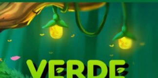 Verde Casino Login – Access Your Account