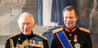 Grand Duke Henri announces abdication in emotional Christmas speech ...