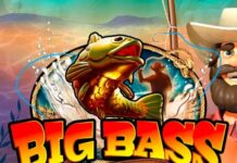 Big Bass Splash gratis spelen of met geld. Lees de Review + Speluitleg ☑️