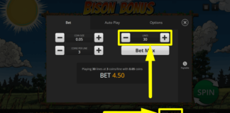 Bison Bonus Slot Review, Bonuses & Free Play