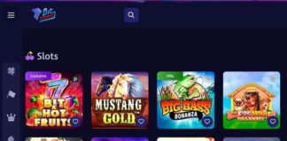 Bitcoin Casinos NZ ️ 10+ Best Bitcoin Gambling Sites (2024)