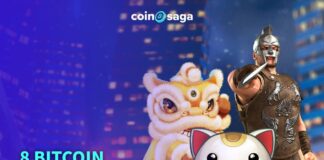 8 Bitcoin Slot Tips for you - CoinSaga Bitcoin Casino Blog