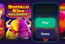 Play free demo slot Buffalo King without registration