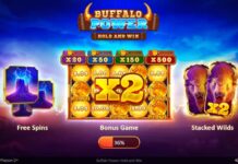 Buffalo Power: Hold and Win (Playson) Slot Review & Demo Game