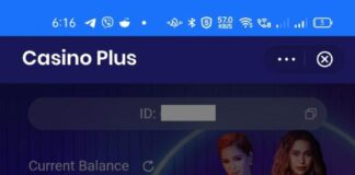 A Quick Guide to Casino Plus in GLife