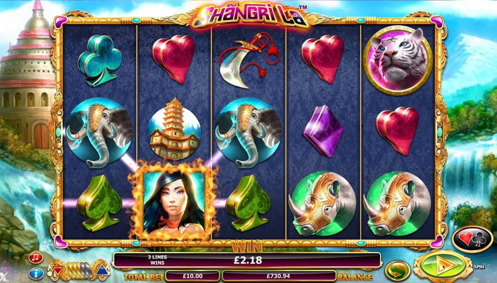 LuckyKong Casino No Deposit Bonus Codes | February 2026