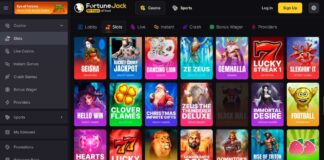 Top Réunion Casinos Online – Reviews, Bonuses & Games (2025)