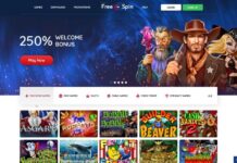 Free Spin Casino Review | The Best Slot Bonuses in the USA