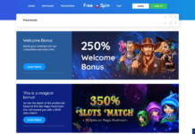 Free Spin Casino Review | The Best Slot Bonuses in the USA