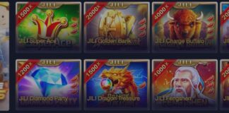 MCW (Mega Casino World) Sports Betting and Casino in India