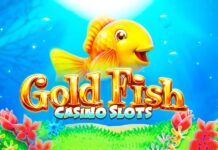 Opnamevoorkeuren Slotsdj Casino bewaart voorkeuren op voor Nederland Gold Fish Casino Slot Games - Download & Play For Free Here