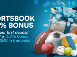 Crypto Casino Bonuses and Promo Codes | Wild.io