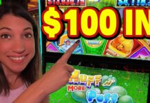 Luxury Online Casinos For High Rollers: Exclusiv | emilioigma230