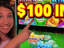 Luxury Online Casinos For High Rollers: Exclusiv | emilioigma230