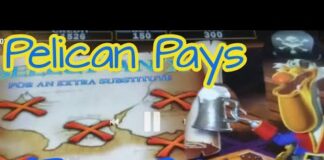 Pelican Casino - Dein Blitzstart ins faire Spielglück!