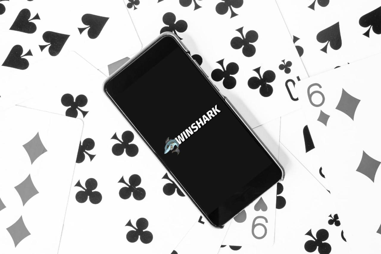 Winshark Casino Live App & Funktionen - TI Solva