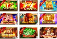 Ich überwies 1000 Euro in Robocat Casino in Belgien eingezahlt – das ist passiert Jili Slots For Free 100 Using Casino Bonuses| Philippines