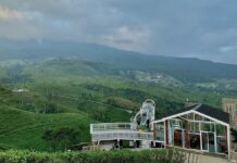 Guide étape par étape pour ouvrir son compte chez SkyHills Casino en Belgique Kemuning Sky Hills, Tempat Wisata Hits di Karanganyar yang Punya ...