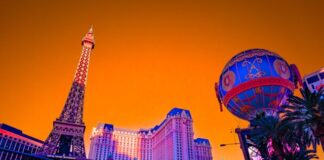 Leon Bet Gaming Platform: Your Personal Access Point to Premium Gaming ...