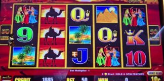 Sahara 50 spins at $5 a spin - YouTube
