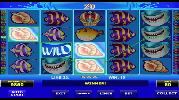 maxresdefault-255 Wild Shark Slots - Bitcoin Casino Games - YouTube