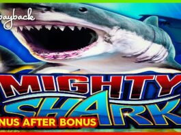 BONUS AFTER BONUS! Ocean Spin Mighty Shark Slots! - YouTube