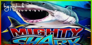 BONUS AFTER BONUS! Ocean Spin Mighty Shark Slots! - YouTube