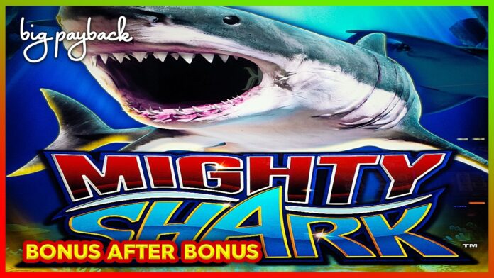 BONUS AFTER BONUS! Ocean Spin Mighty Shark Slots! - YouTube