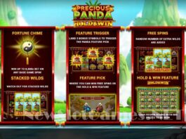 Precious Panda Hold & Win Slot Review & Demo by iSoftBet - Play Free Online