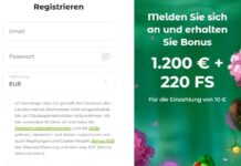 Verde Casino Bewertung und Erfahrungen - SchweinGehabt