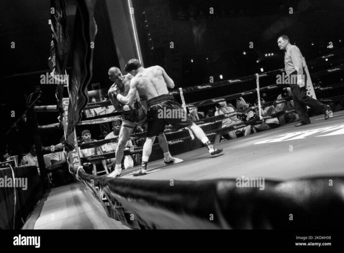 sam-rizzo-plymouth-mi-besiegte-ronny-arana-nyc-im-rahmen-von-tko-und-setzte-seinen-beruflichen-rekord-am-13-mai-2022-im-motor-city-casino-in-detroit-mi-auf-3-0-vor-foto-von-adam-j-deweynurphoto-2kdah38 Ronny arana -Fotos und -Bildmaterial in hoher Auflösung – Alamy